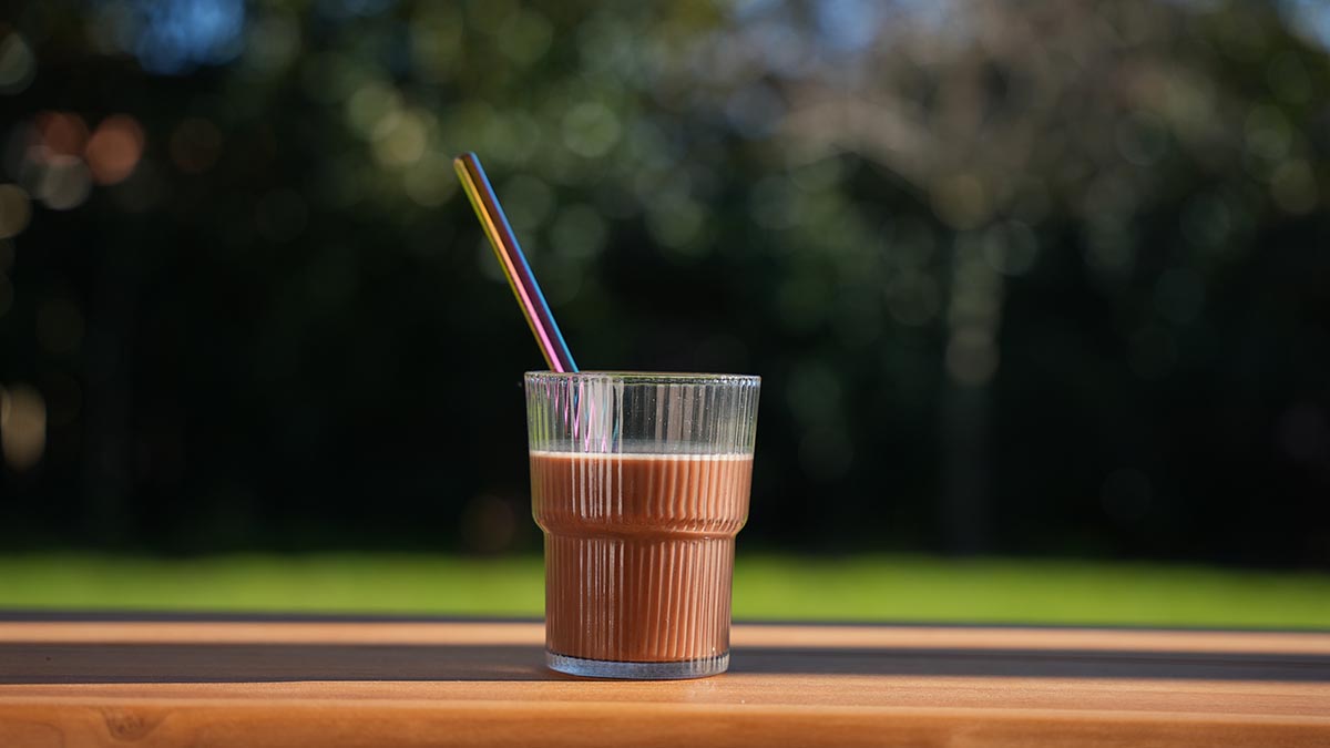 Protein powder with pre & pro biotics